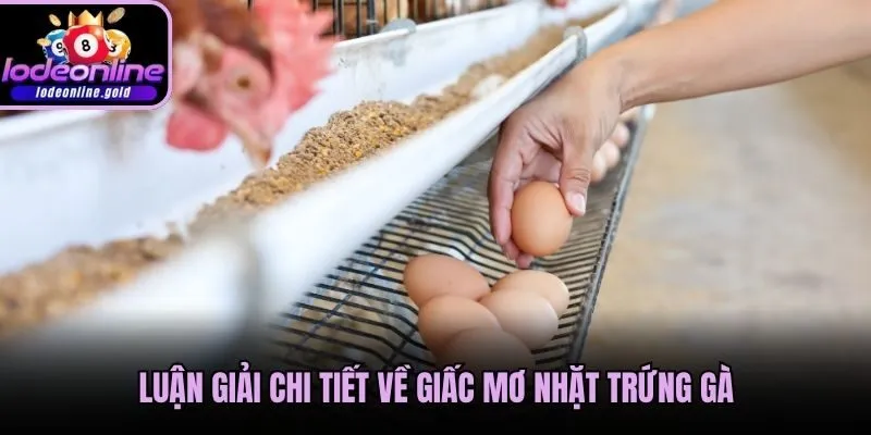 Luận giải chi tiết về giấc mơ nhặt trứng gà