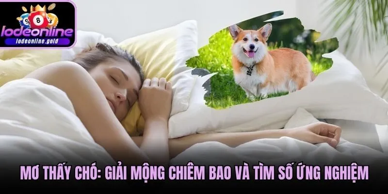 Mơ Thấy Chó: Giải Mộng Chiêm Bao Và Tìm Số Ứng Nghiệm