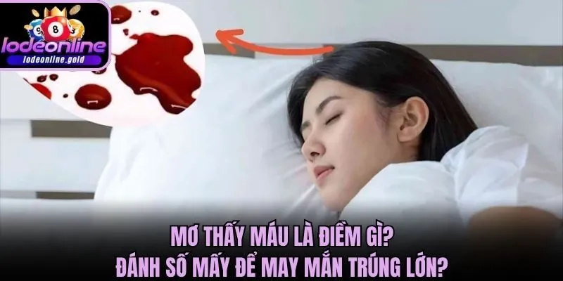 Mơ Thấy Máu Là Điềm Gì? Đánh Số Mấy Để May Mắn Trúng Lớn?