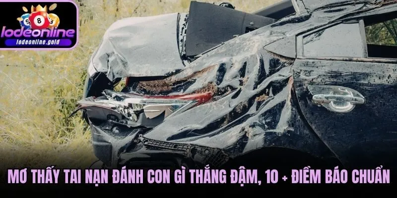 Mơ Thấy Tai Nạn Đánh Con Gì Thắng Đậm, 10 + Điềm Báo Chuẩn