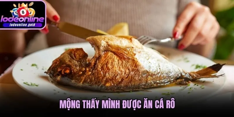 Mộng thấy mình được ăn cá rô